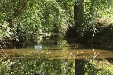 les rivières